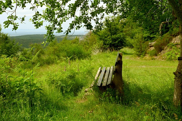 了在比赛中 了在比赛中